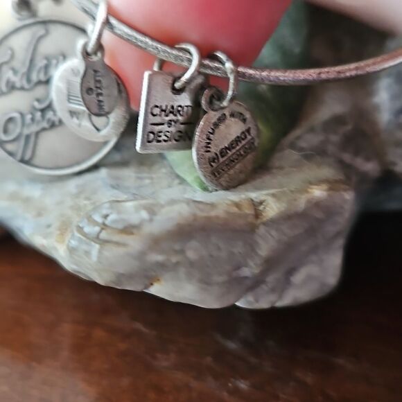 Alex and Ani Silver Charm Bracelet - Picture 4 of 8